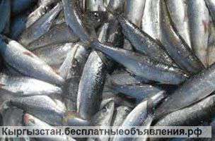 Рыбу из Якутии