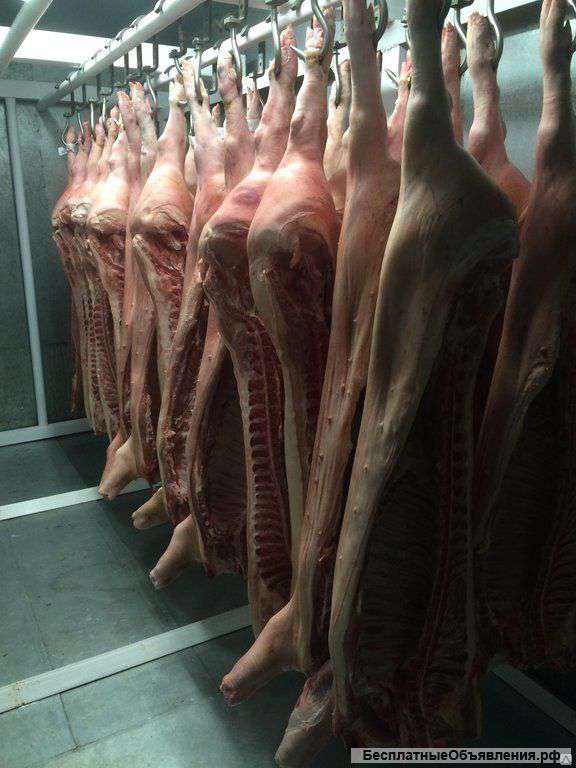 Свинина в полутушах