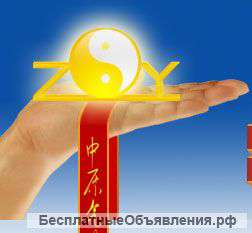 Курсы и занятия по ушу и единоборствам