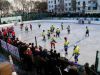 Хоккейная коробка цена изготовление установка