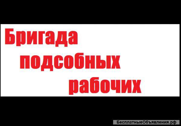 Бригада подсобных рабочих.РФ.