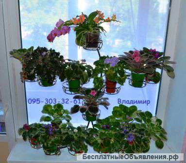 Эксклюзивные подставки для Ваших цветочков