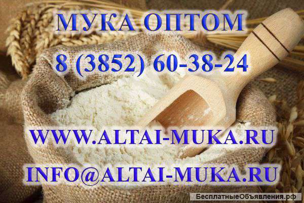 Мука оптом