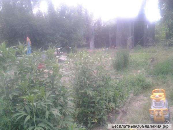 Садовый дом для круглогодичного проживания