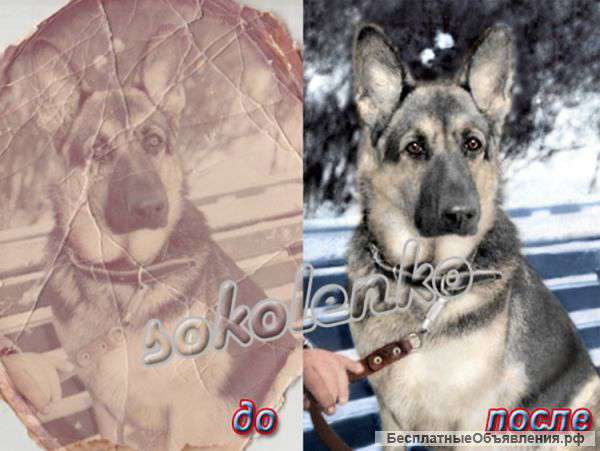 Обработка фотографий (недорого) (любой регион Украины)