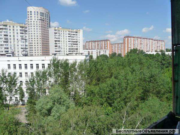 1 комнатная квартира в Черемушках