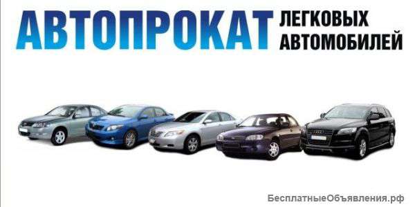 Прокат авто в санкт-петербурге без водителя