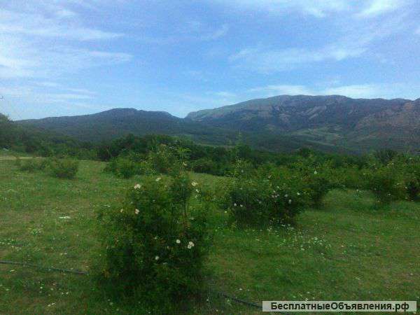 Участок на Южном берегу Крыма