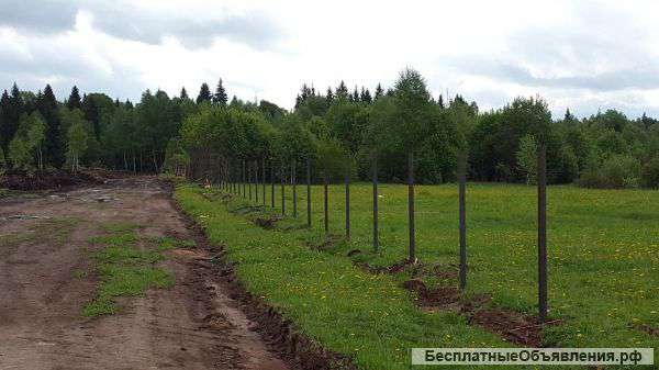 Земельные участки у леса