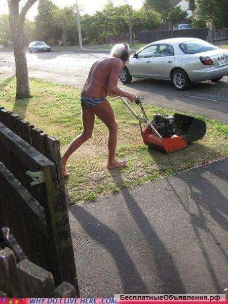 Покос травы