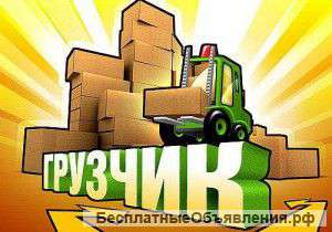 Транспорт, Коммерческие перевозки