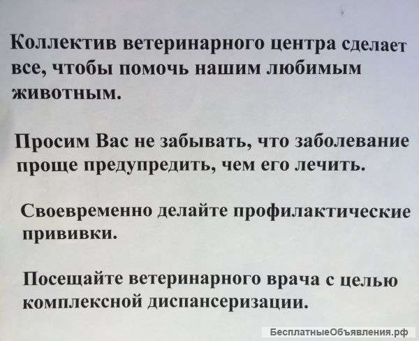 Ветврач