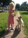 Подрощенный щенок