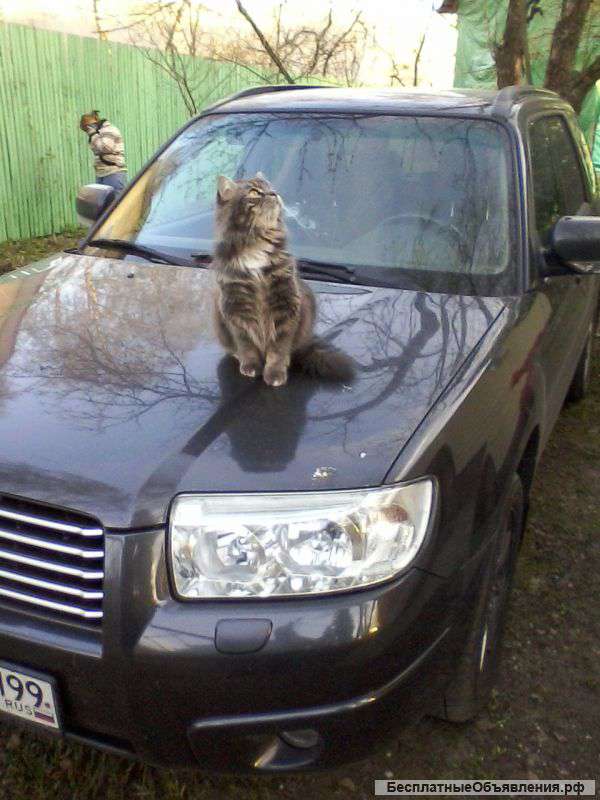 Автоинструктор