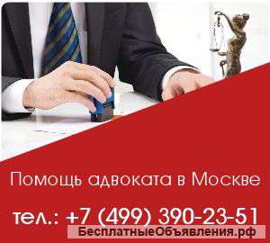 Независимая экспертиза