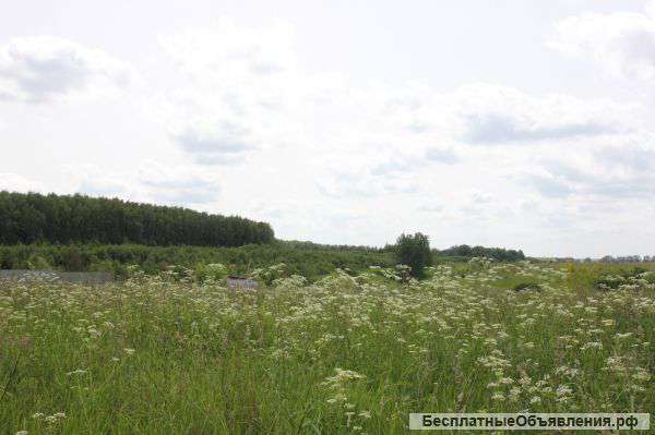 Участок 10 соток в деревне Сонио