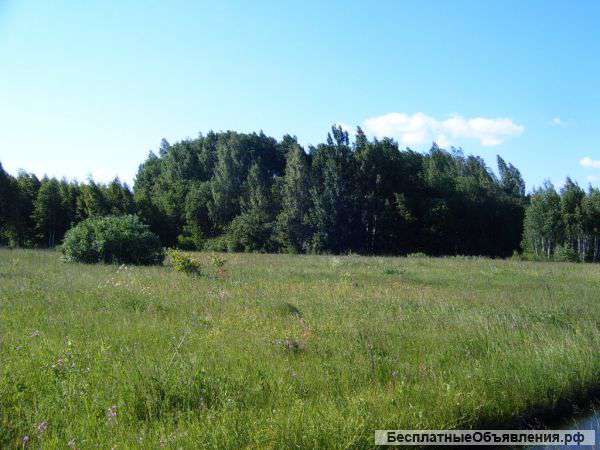 Участок 10 сот. в СНТ Тетерево