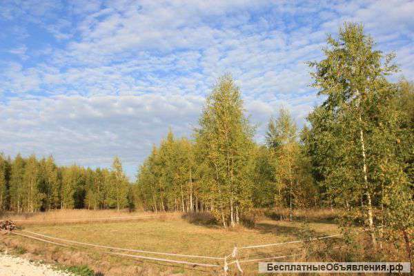 Участок 10 сот. в СНТ Тетерево.