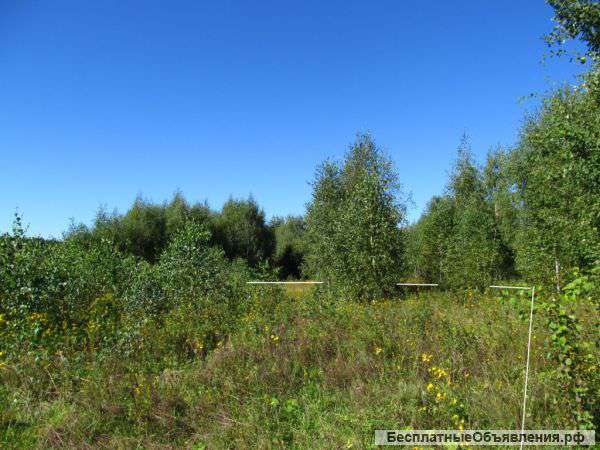 Участок 10 сот.В СНТ Ивушка.