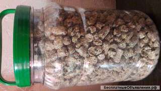 Зернопродукт пшеничный кормовой в грануле