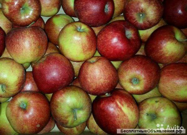 Овощи фрукты с бесплатной Доставкой в течении часа