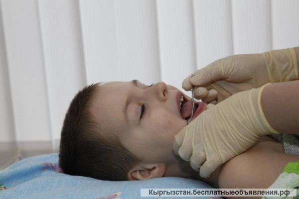 Детский центр Alpha kids