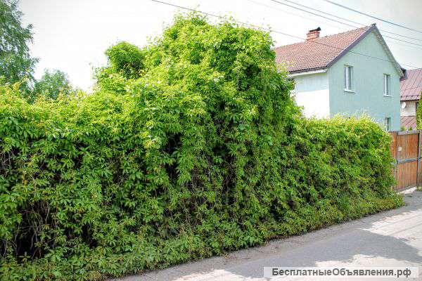 Дом на 9-12 гостей посуточно от собственника