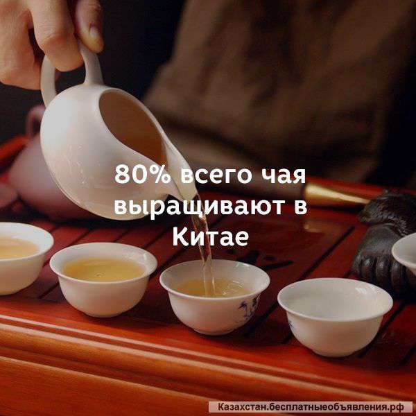 Натуральный китайский чай в Алматы