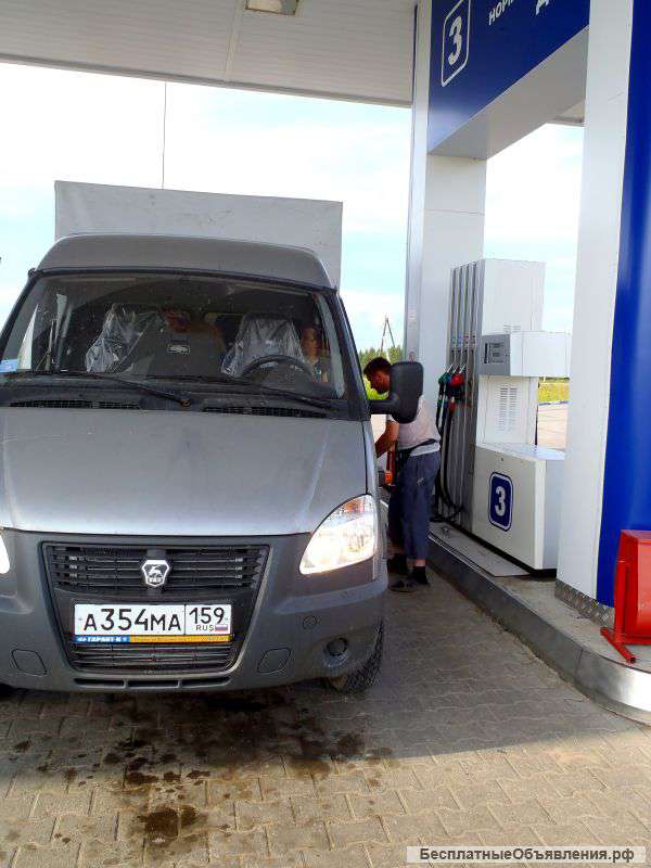 Газели по пермскому краю