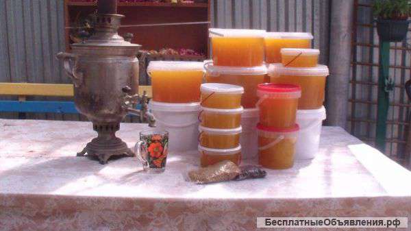 Натуральный мед и продукты пчеловодства в г. Тула с частной пасеки в Щекинском районе