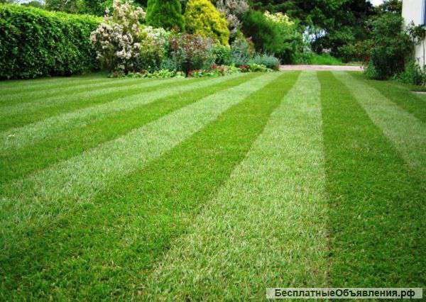 Выполним профессиональный покос травы