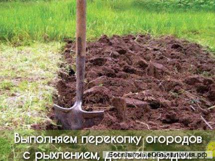 Разнорабочие