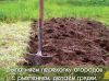 Разнорабочие