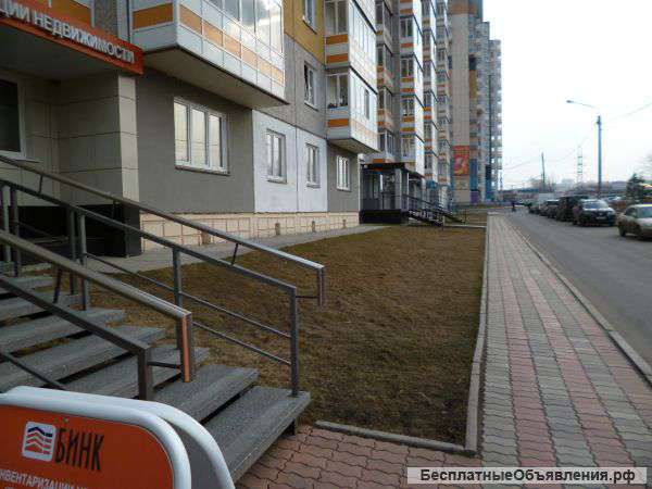 Алексеева 113