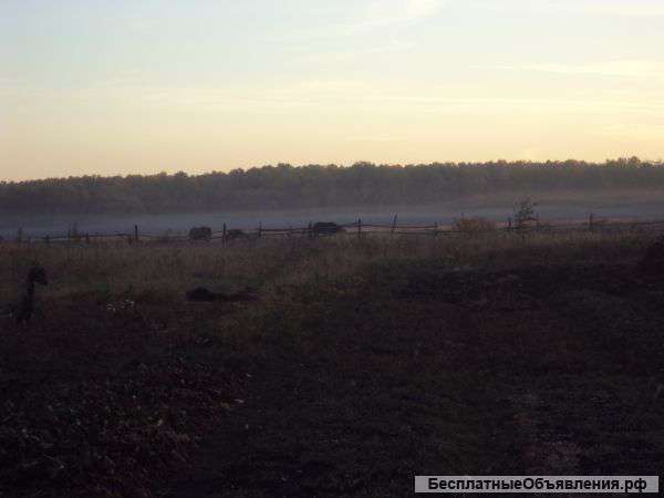 Часть земельного участка