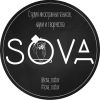 Студия иностранных языков, науки и творчества «SOVA»