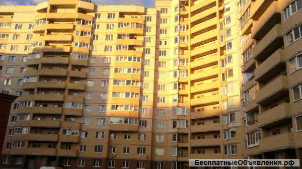 Сдается квартира