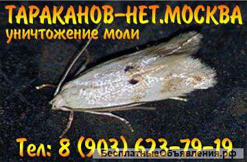 Уничтожение, травля тараканов, клопов, муравьёв, чешуйниц, мукоедов