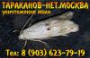 Уничтожение, травля тараканов, клопов, муравьёв, чешуйниц, мукоедов