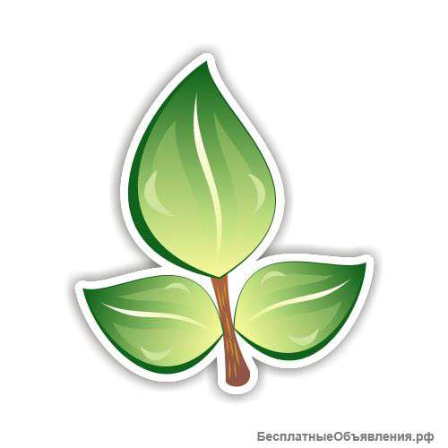 Ландшафтные работы