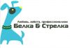 Дрессировка и выгул собак в Москве