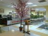 ППА Действующие Столовые. Кафе. Продуктовые Магазины.