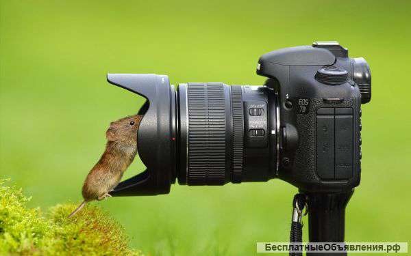 Онлайн-курсы фотографии
