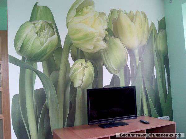 Сдаем 1-комнатную квартиру в Центральном районе (Площадь Ленина). ул. Коммунистическая, 54 (5 этаж)