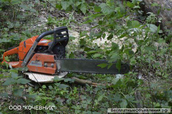 Удаление Аварийных и Опасных деревьев в Москве и МО