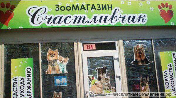 Готовый бизнес Зоомагазин