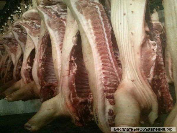 Свинину, выращенную на свинокомплексе России