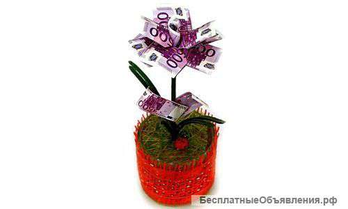 Денежное дерево "500 евро"