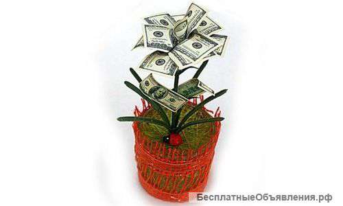 Денежное дерево "100 долларов"