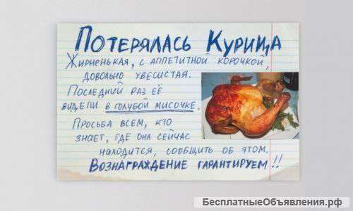 Магнит на холодильник "Потерялась курица"